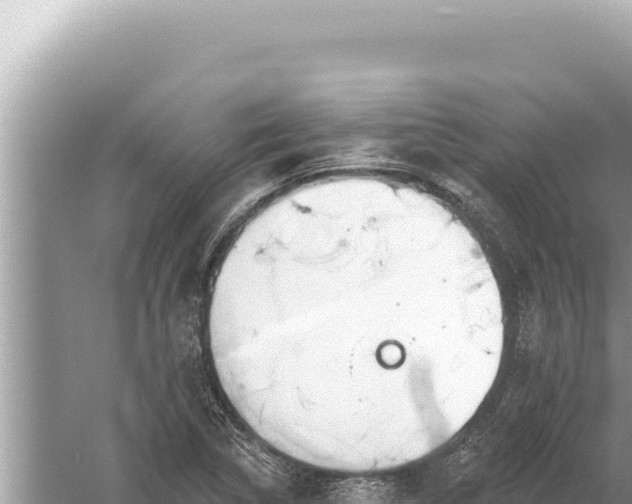 X0000059041314200510211923