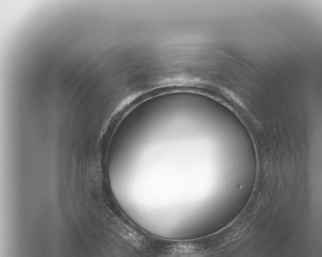 X0000059041315200510211923