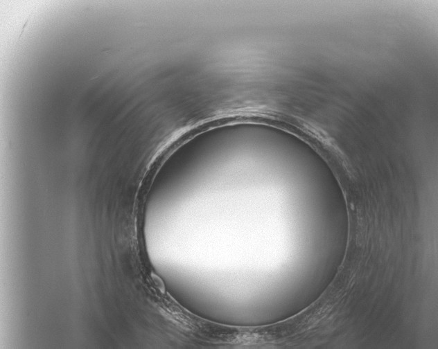 X0000059041316200510211923