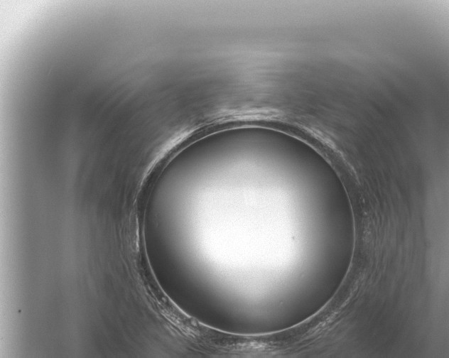 X0000059041317200510211923