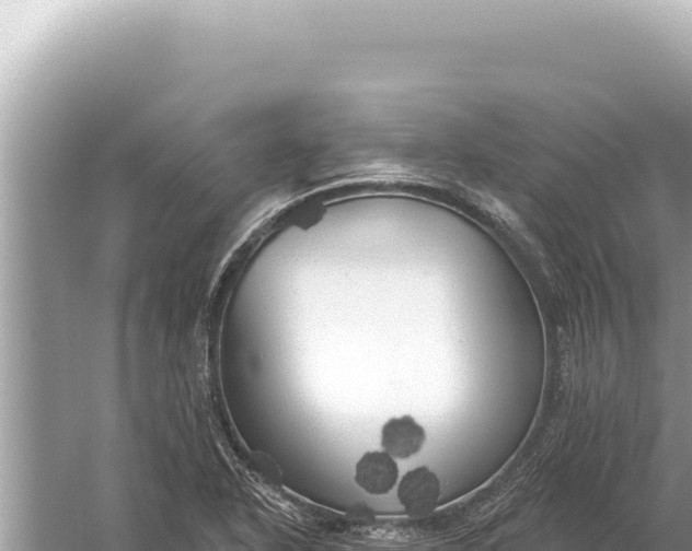 X0000059041318200510211923