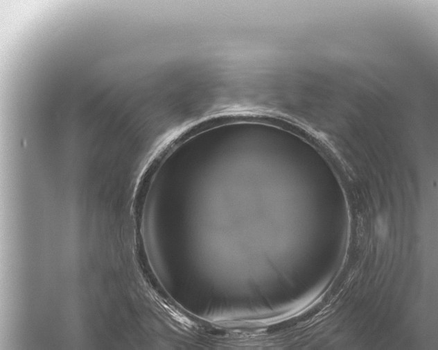 X0000059041319200510211923