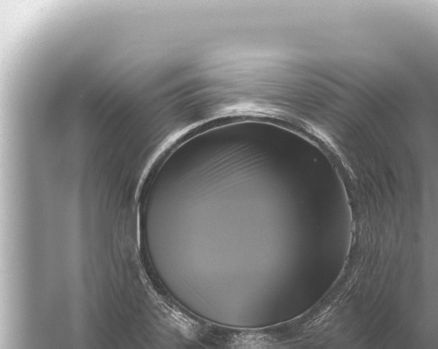 X0000059041323200510211924