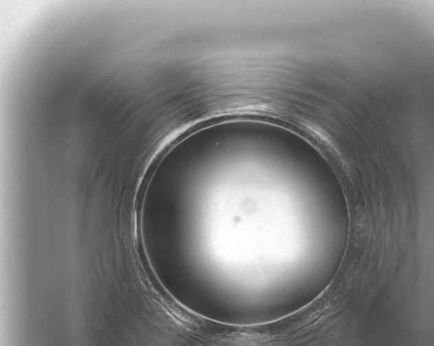 X0000059041324200510211924