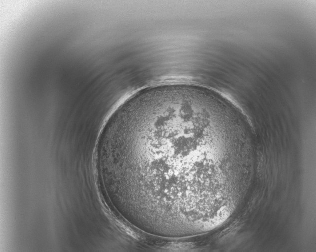 X0000059041325200510211924