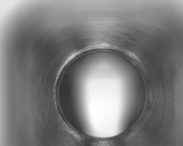 X0000059041326200510211924