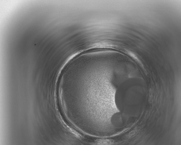 X0000059041331200510211924