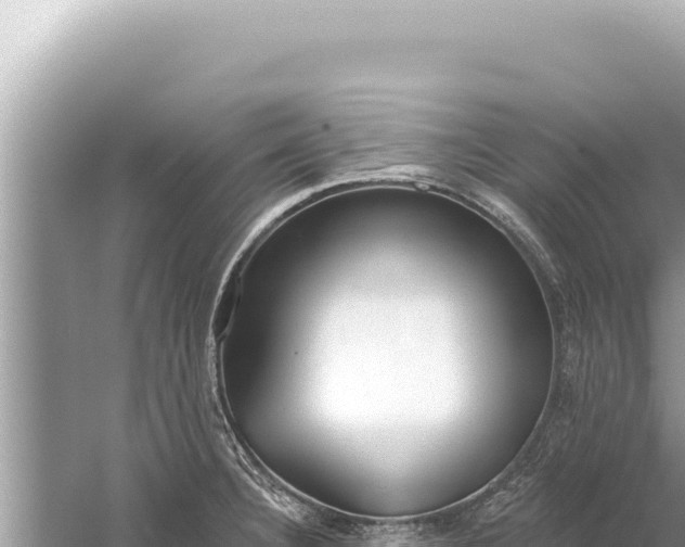 X0000059041332200510211924