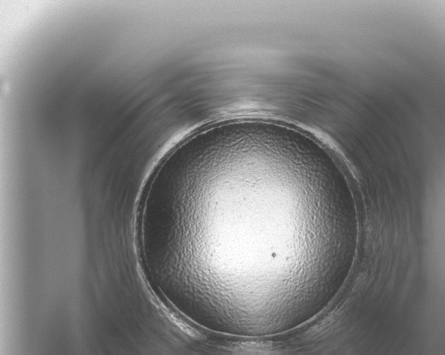 X0000059041333200510211924