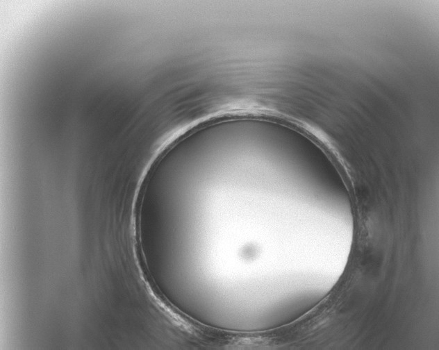 X0000059041335200510211924