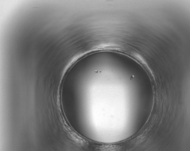 X0000059041336200510211924