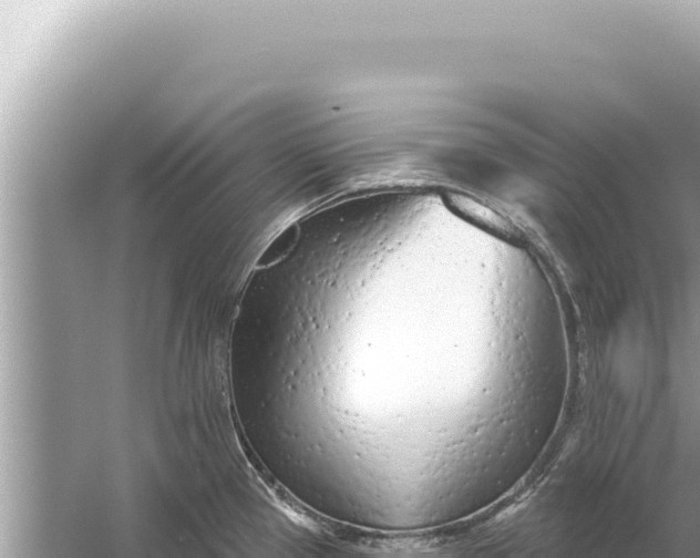 X0000059041337200510211924