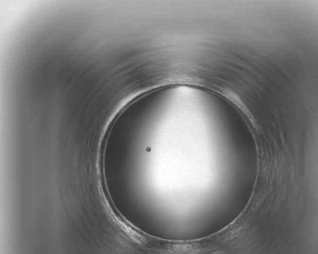 X0000059041339200510211924