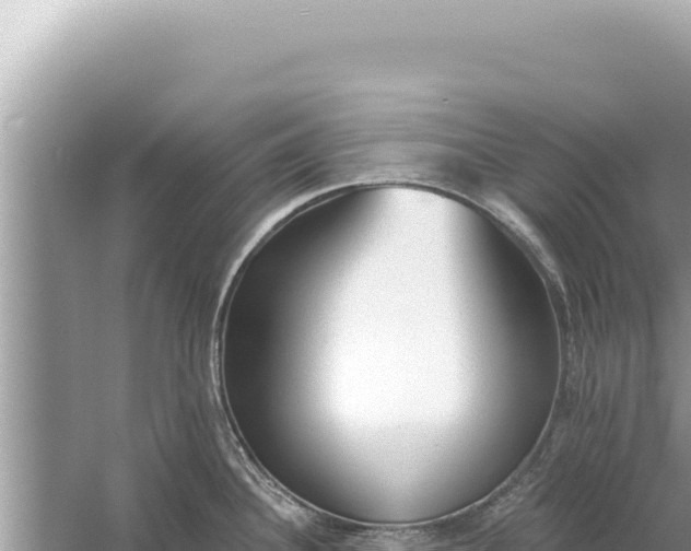 X0000059041340200510211924