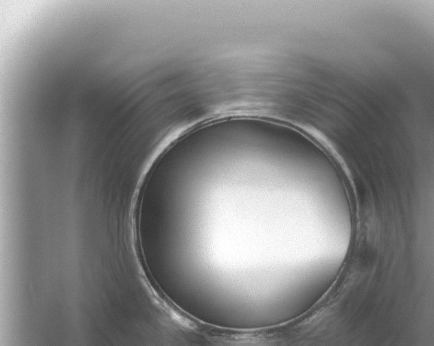 X0000059041341200510211924