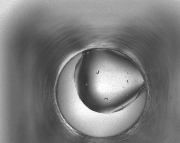 X0000059041344200510211924