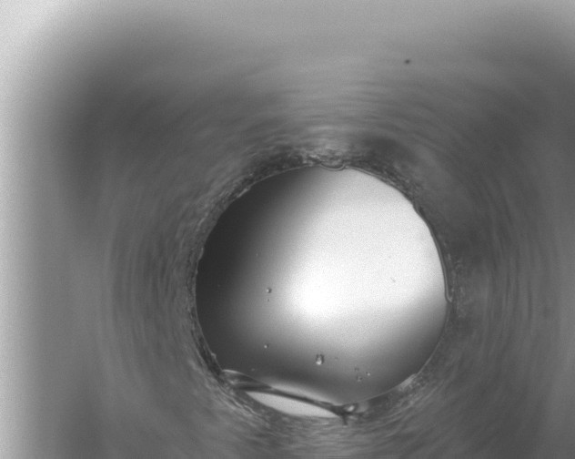 X0000059041345200510211923