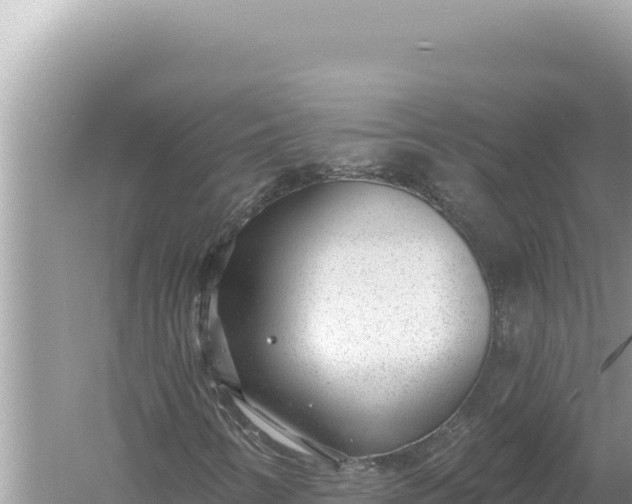 X0000059041346200510211923