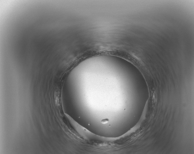 X0000059041348200510211923