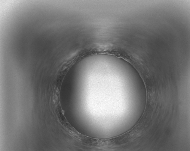 X0000059041349200510211923