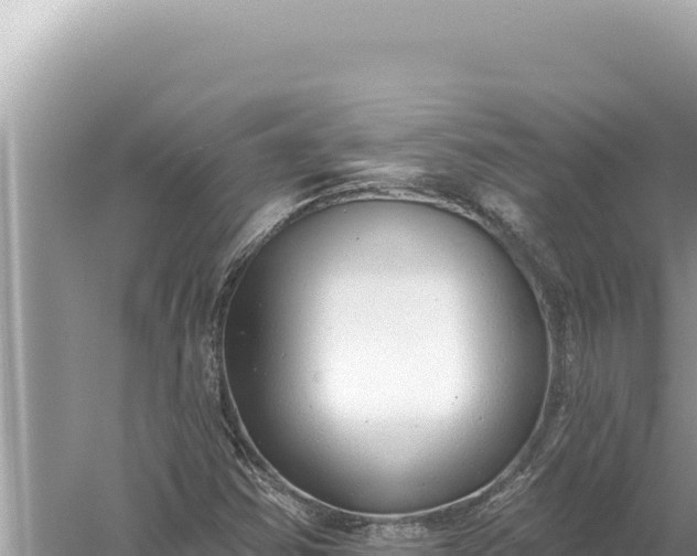 X0000059041354200510211923