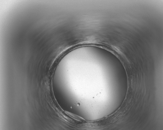 X0000059041356200510211923