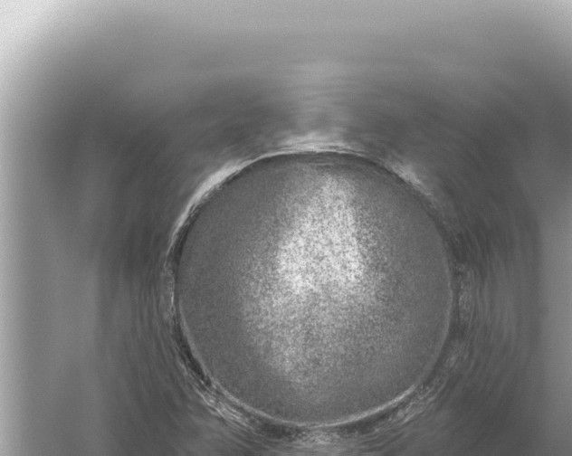 X0000059041358200510211923