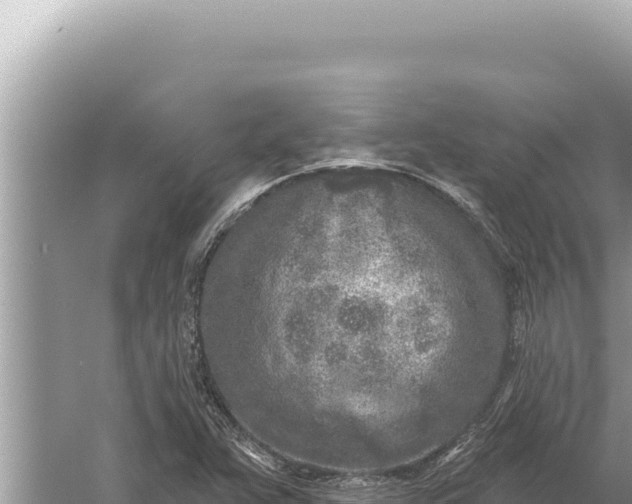 X0000059041359200510211923