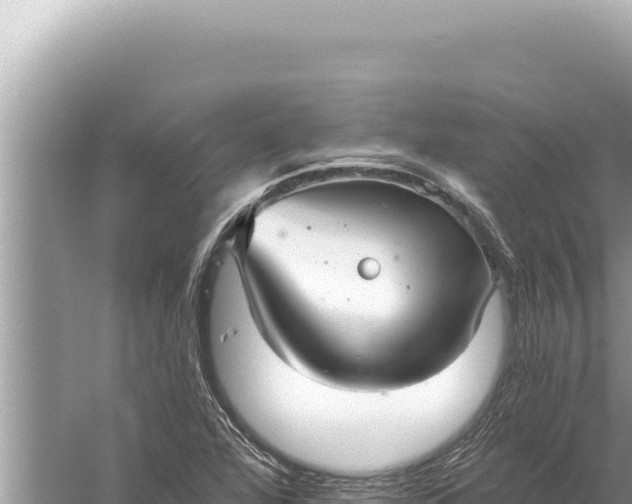 X0000059041360200510211923