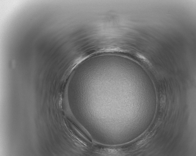 X0000059041361200510211923