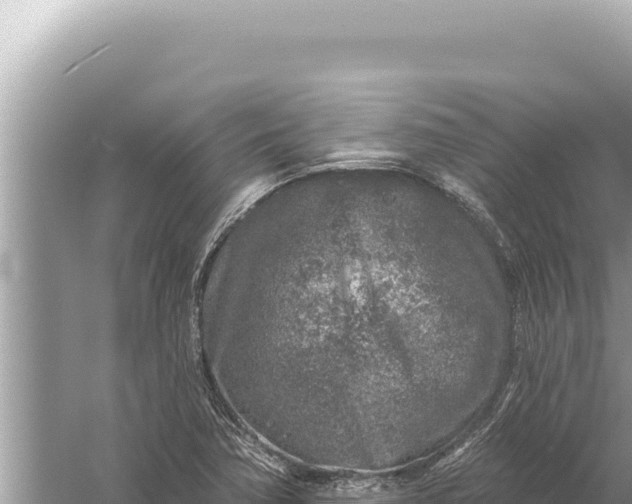 X0000059041362200510211923