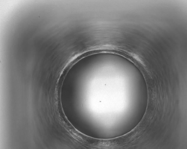 X0000059041364200510211923