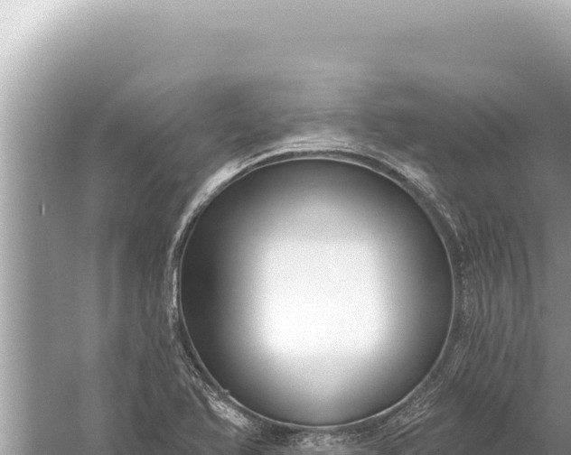 X0000059041366200510211923