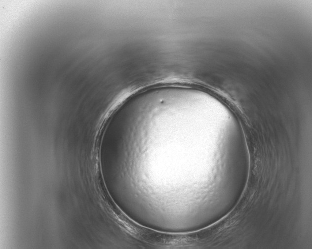 X0000059041367200510211923