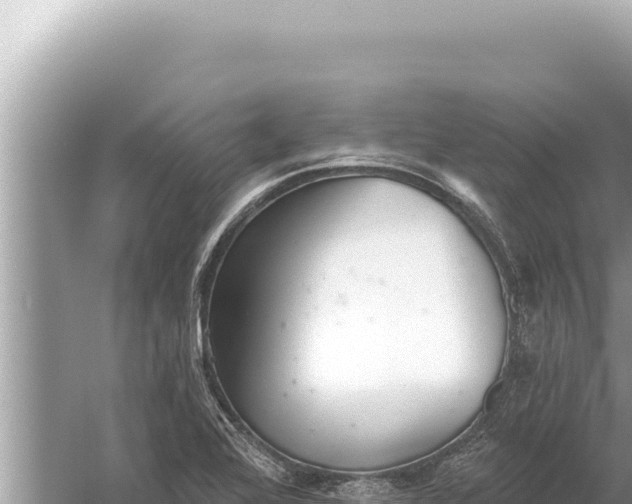 X0000059041368200510211923