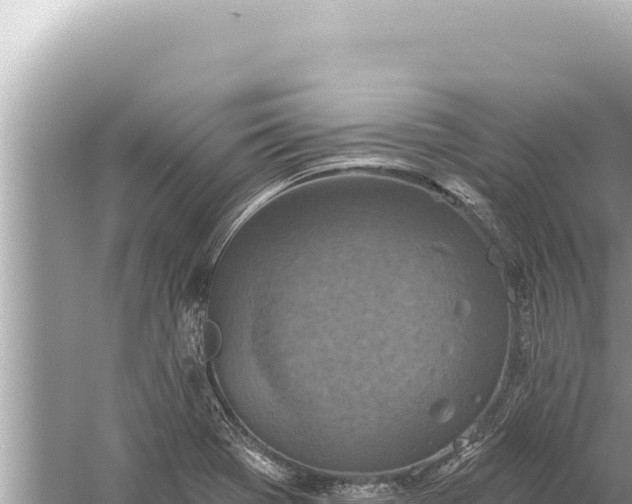 X0000059041369200510211923