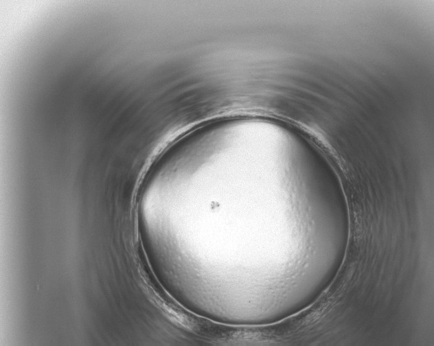 X0000059041371200510211923