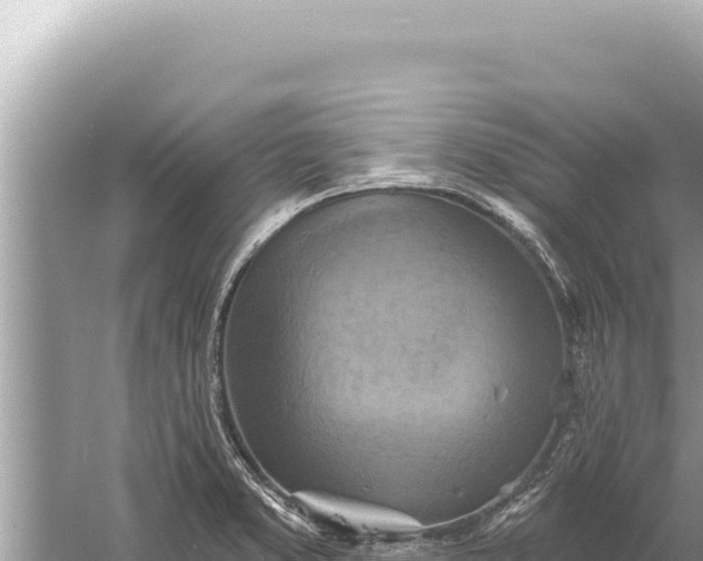 X0000059041373200510211923