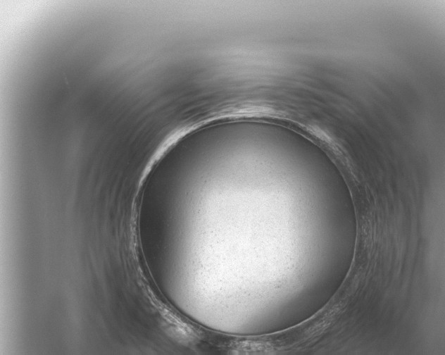 X0000059041374200510211923