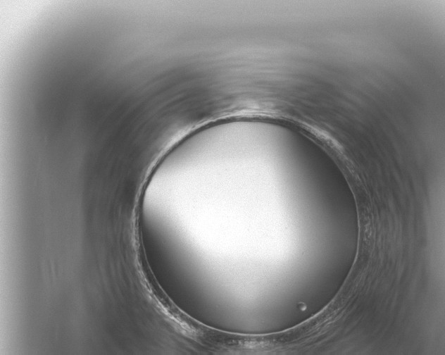 X0000059041375200510211923