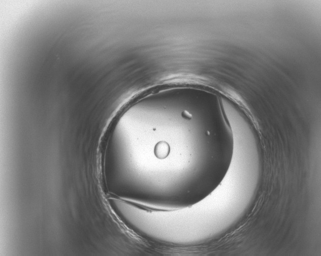 X0000059041376200510211923