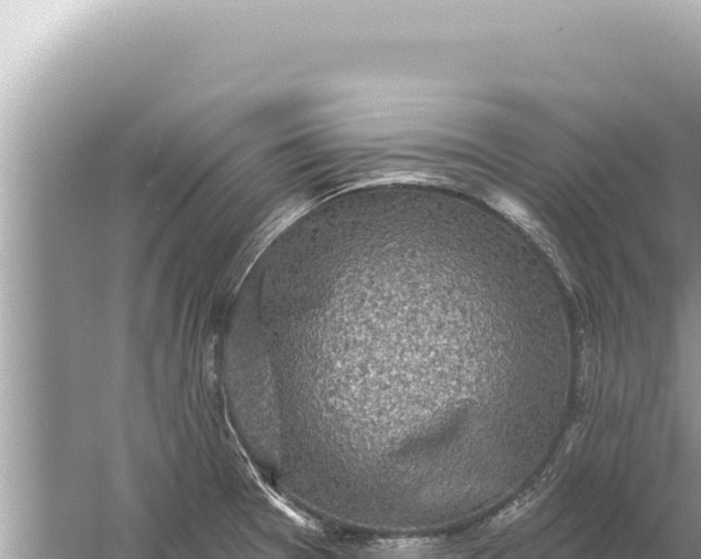 X0000059041377200510211923