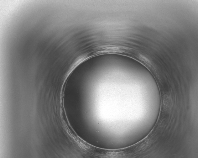 X0000059041378200510211922