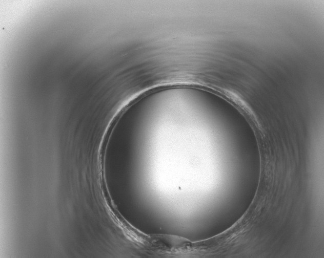 X0000059041380200510211922