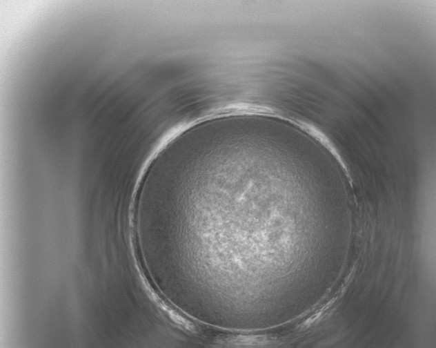 X0000059041381200510211922