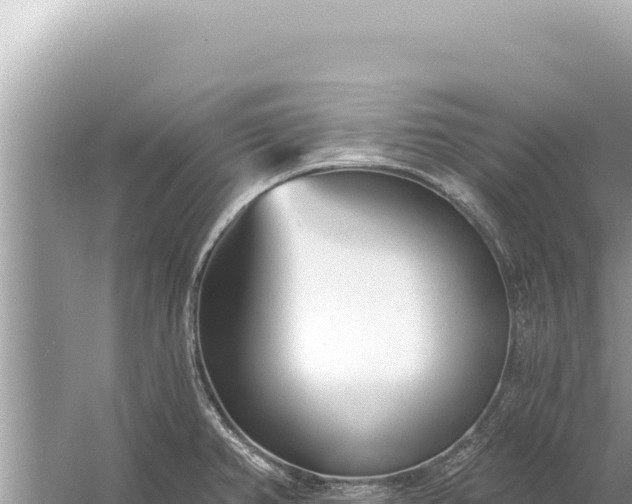 X0000059041382200510211922