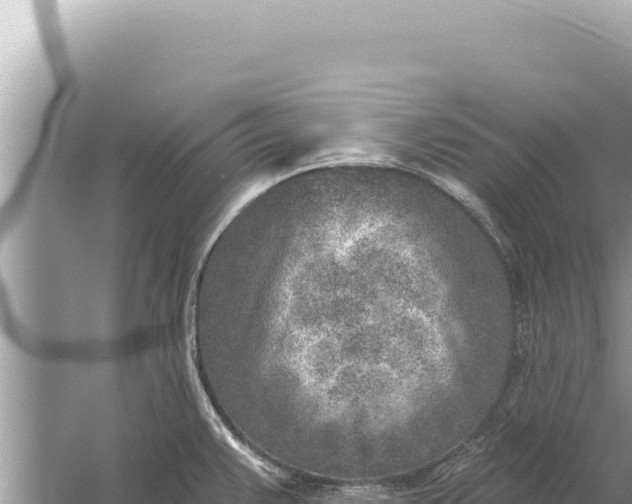 X0000059041383200510211922