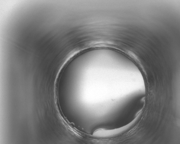 X0000059041384200510211922