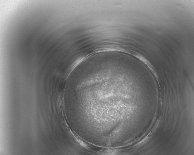 X0000059041385200510211922