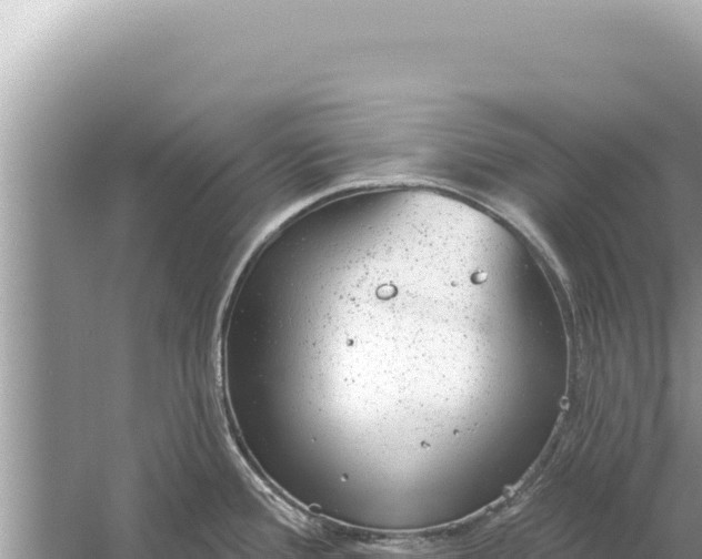 X0000059041388200510211922